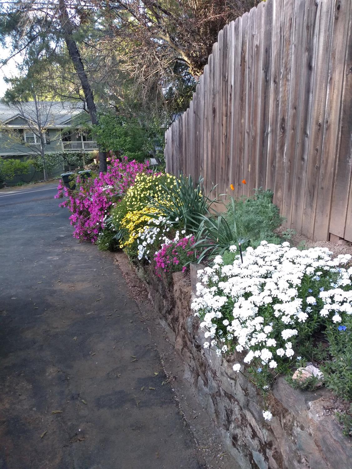 Sylvan Vista Drive, Auburn, California image 17