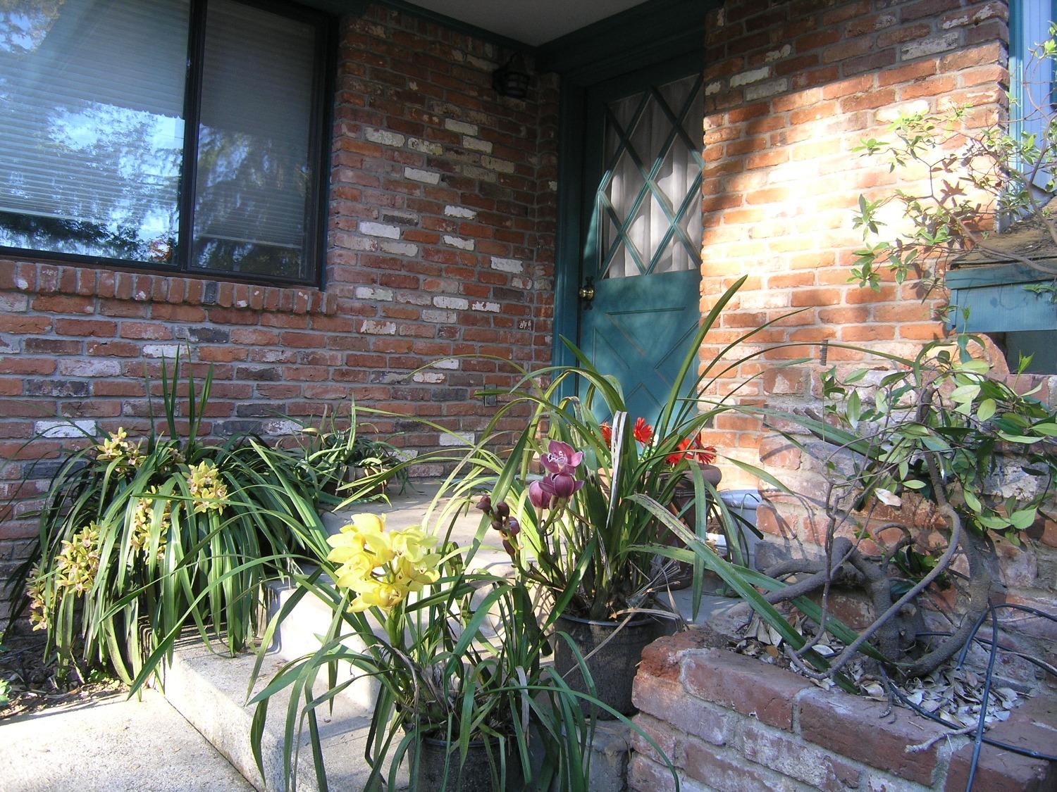 Sylvan Vista Drive, Auburn, California image 2