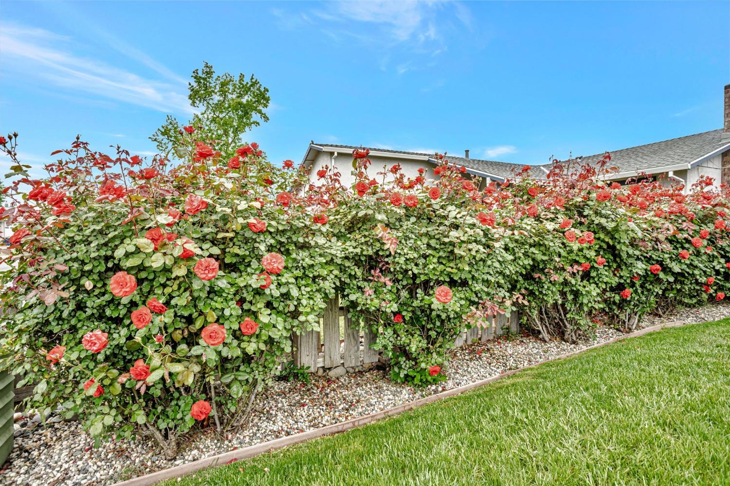 Detail Gallery Image 40 of 40 For 9565 Mirandy Dr, Sacramento,  CA 95827 - 4 Beds | 2 Baths