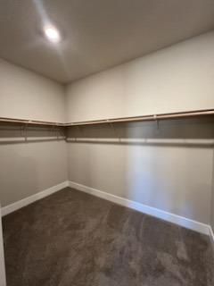 Lagarto Way, Rancho Cordova, California image 6