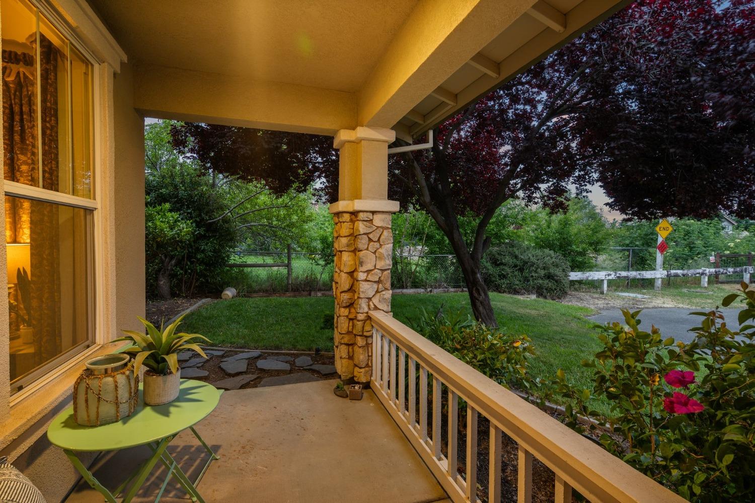 Hera Way, Citrus Heights, California image 44