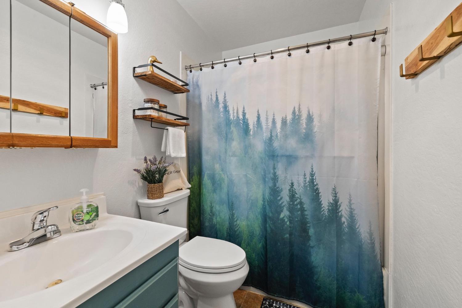 Upper Leland Road #A, Pinecrest, California image 10