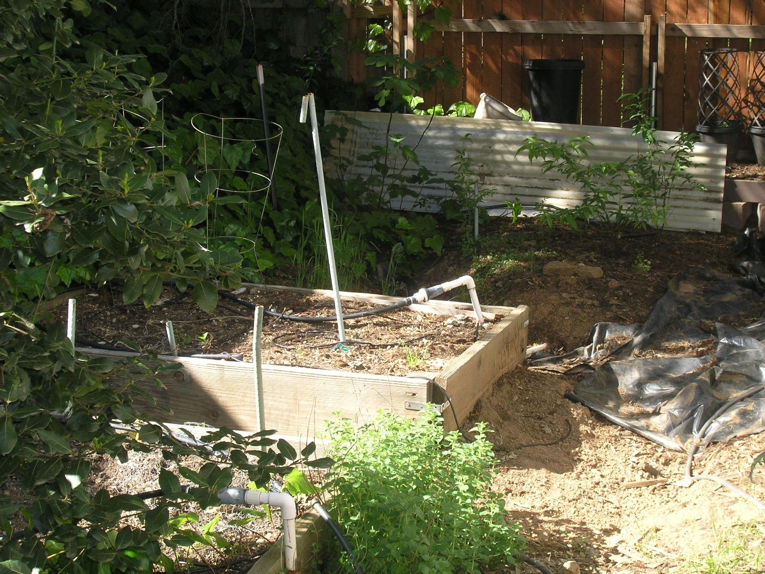 Sylvan Vista Drive, Auburn, California image 16