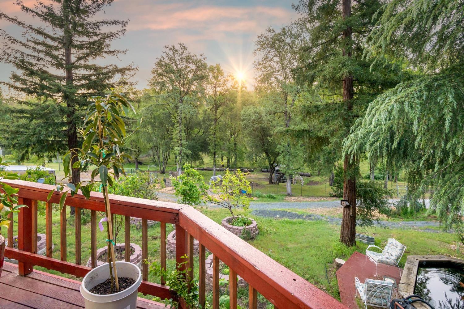 Detail Gallery Image 16 of 79 For 14722 Arrow Rd, Penn Valley,  CA 95946 - 3 Beds | 2 Baths