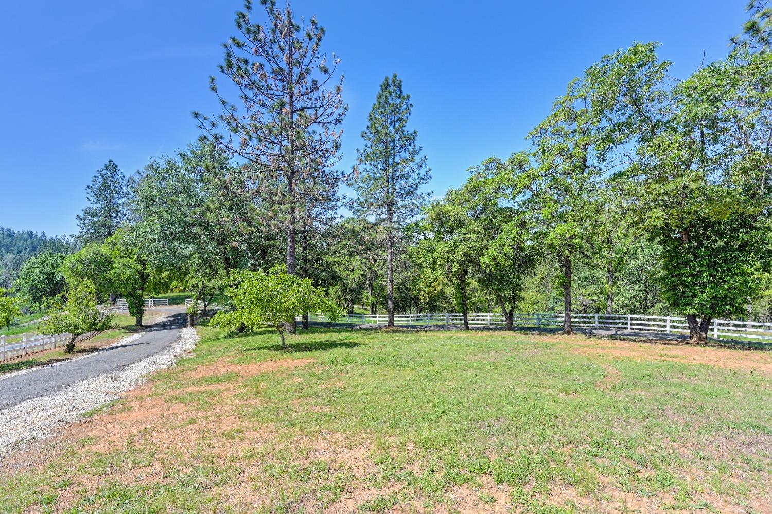 Detail Gallery Image 52 of 73 For 285 Fairidge Dr, Applegate,  CA 95703 - 4 Beds | 2/1 Baths