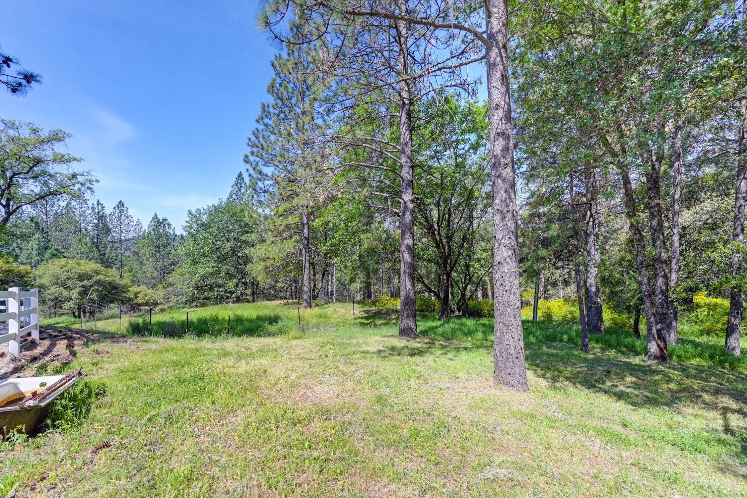 Detail Gallery Image 56 of 73 For 285 Fairidge Dr, Applegate,  CA 95703 - 4 Beds | 2/1 Baths