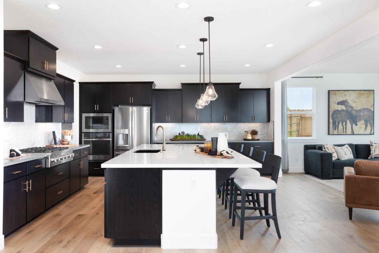 Castaic Lake Way, Rancho Cordova, California image 3
