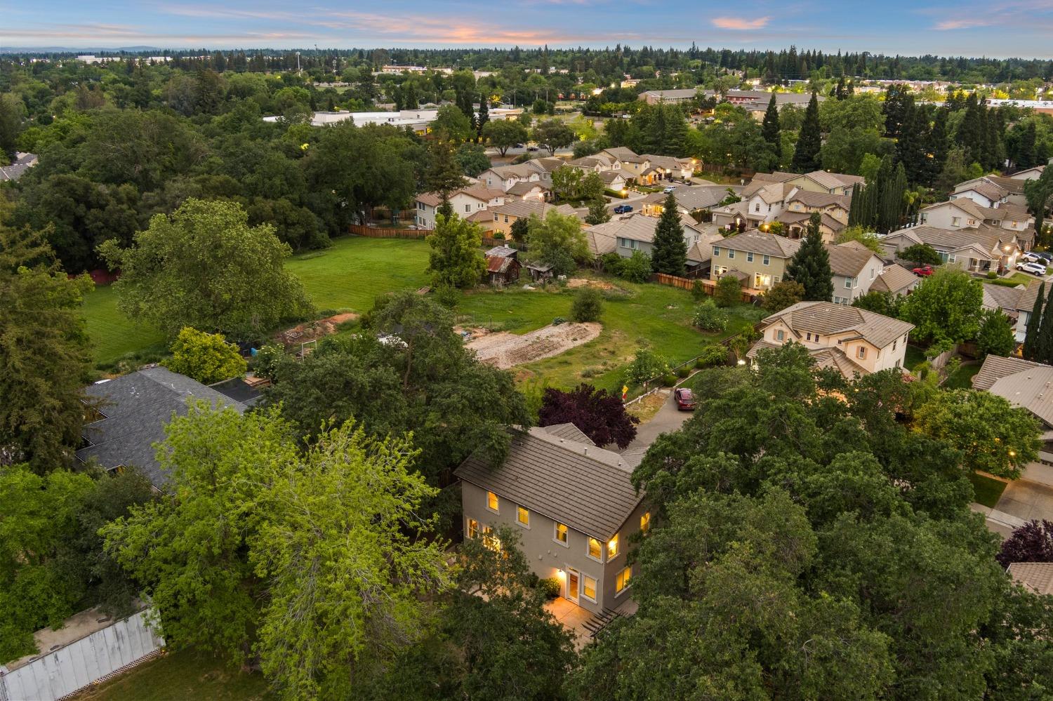 Hera Way, Citrus Heights, California image 41