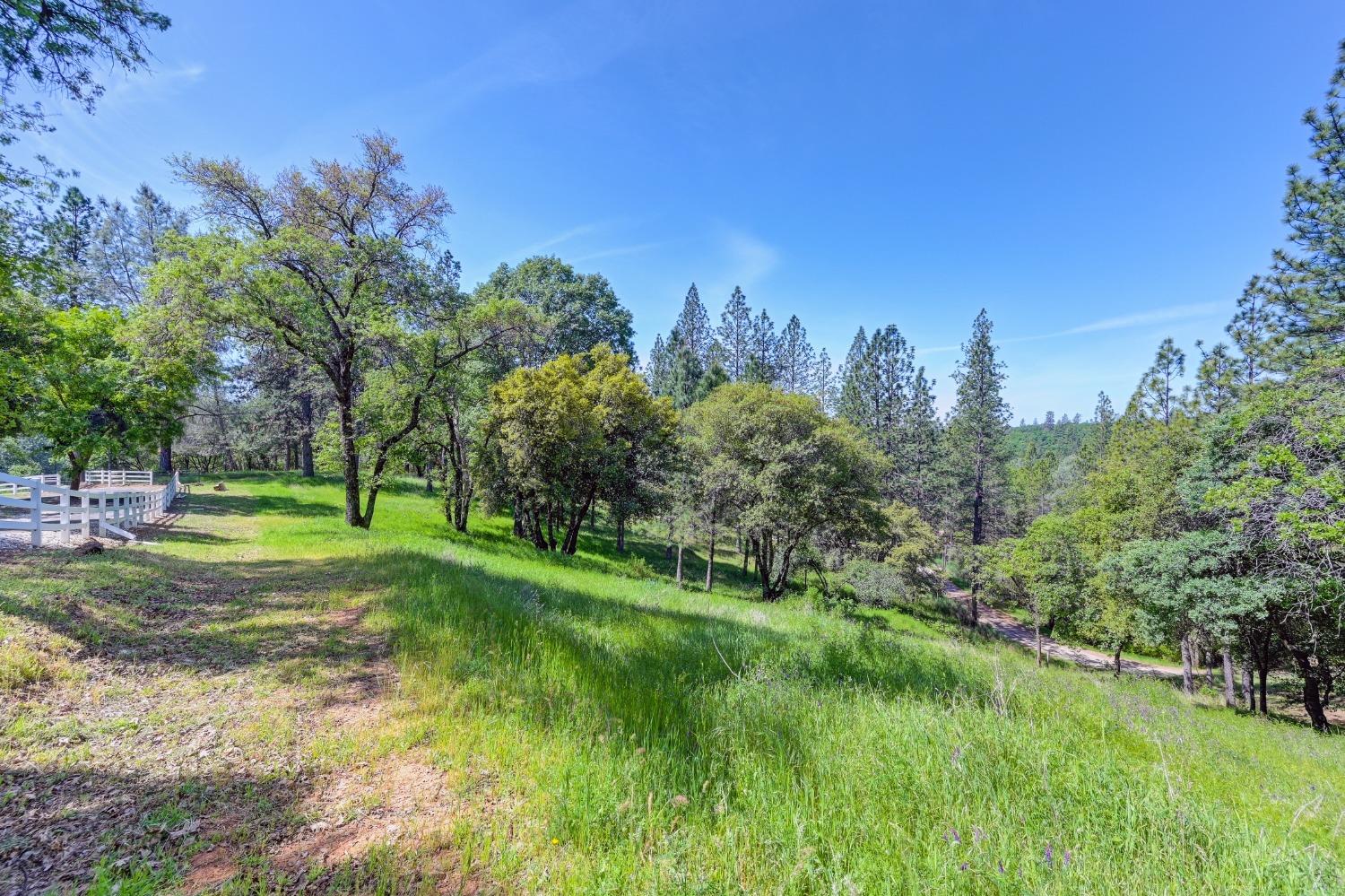 Detail Gallery Image 54 of 73 For 285 Fairidge Dr, Applegate,  CA 95703 - 4 Beds | 2/1 Baths