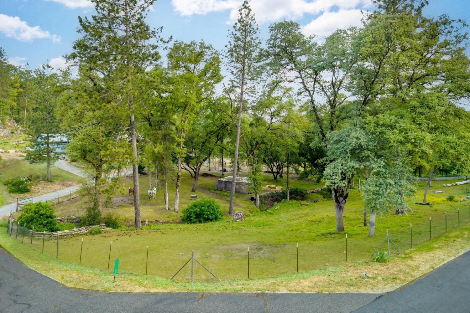 Detail Gallery Image 67 of 79 For 14722 Arrow Rd, Penn Valley,  CA 95946 - 3 Beds | 2 Baths