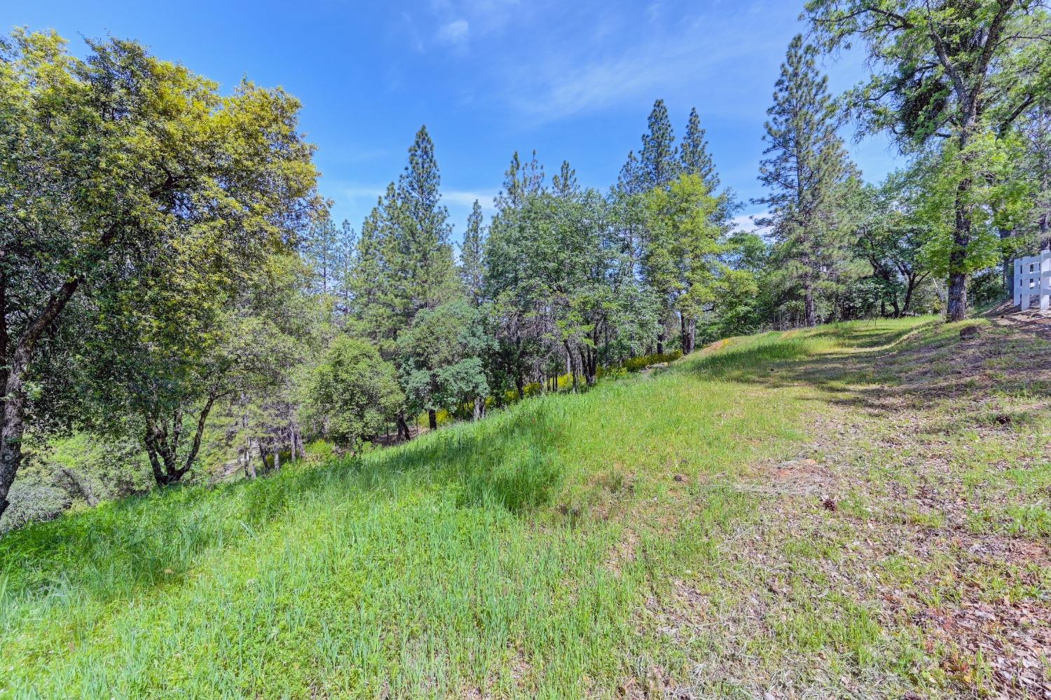Detail Gallery Image 60 of 73 For 285 Fairidge Dr, Applegate,  CA 95703 - 4 Beds | 2/1 Baths