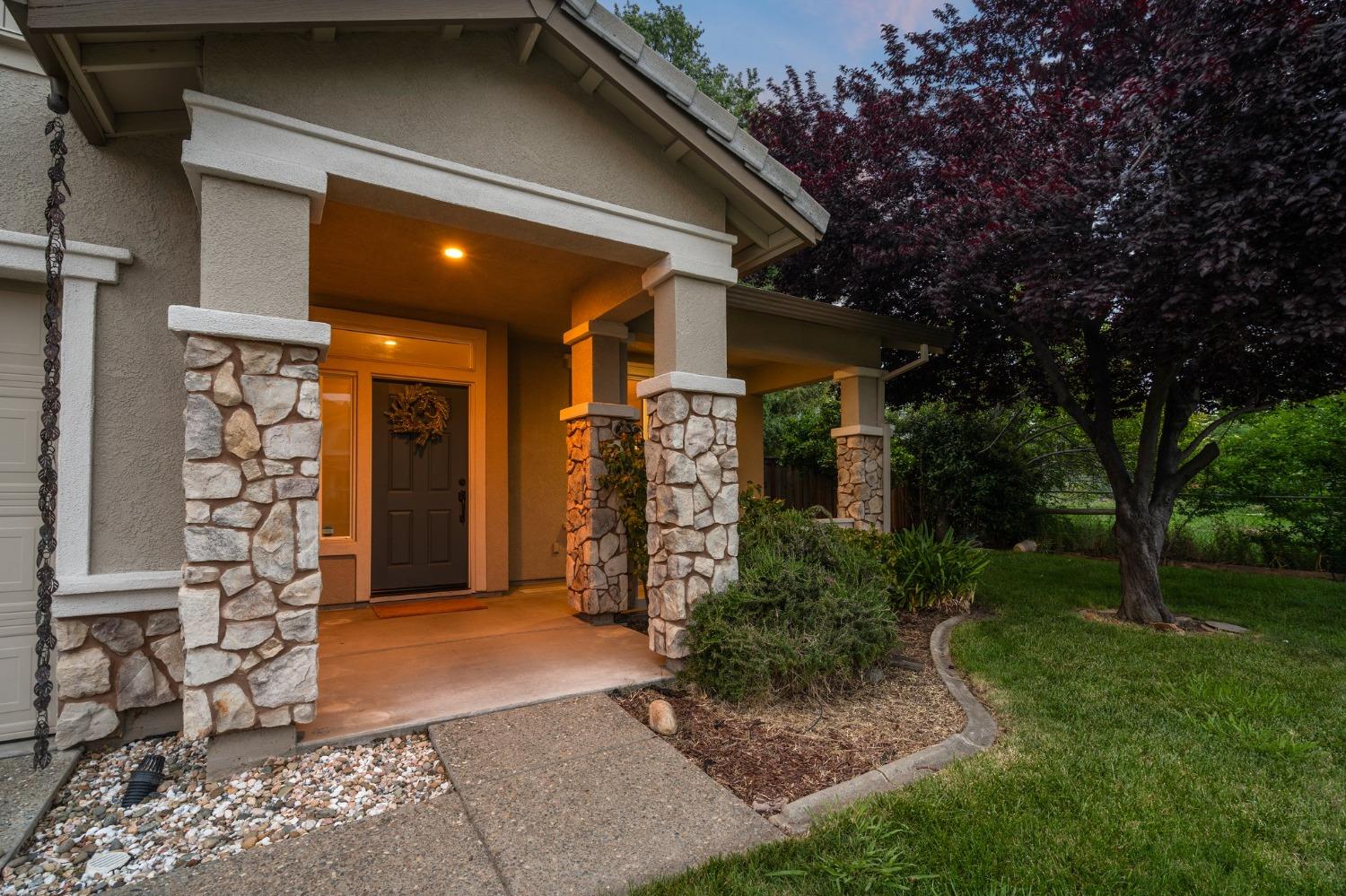 Hera Way, Citrus Heights, California image 43