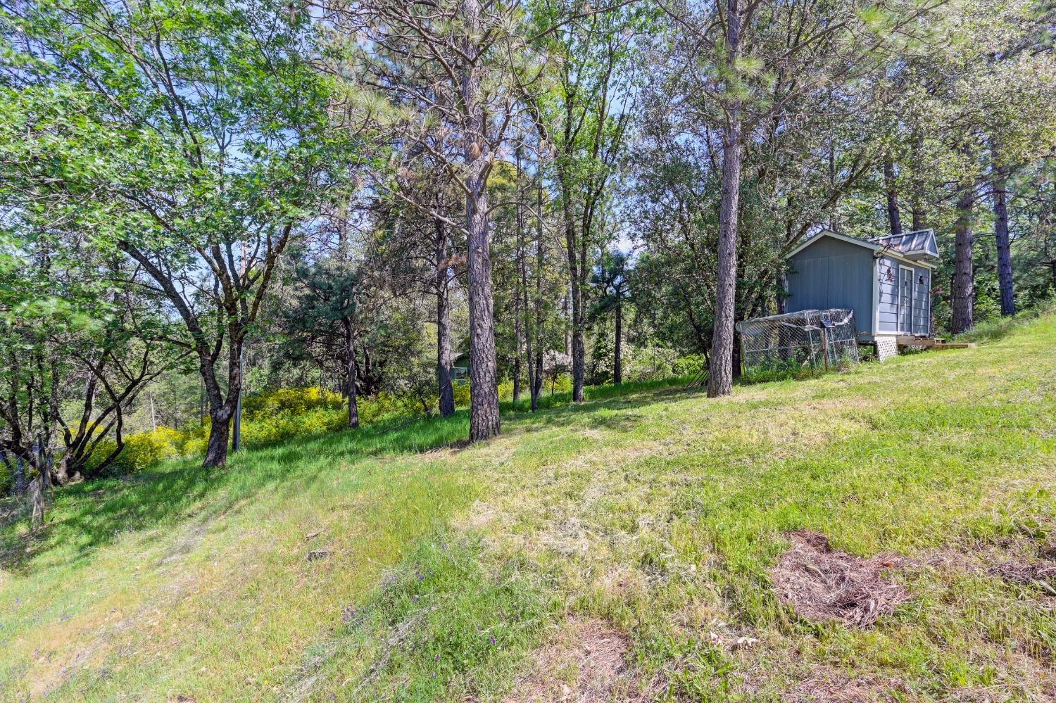 Detail Gallery Image 58 of 73 For 285 Fairidge Dr, Applegate,  CA 95703 - 4 Beds | 2/1 Baths
