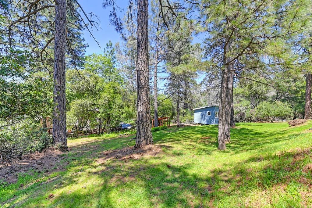 Norlene Way, Grass Valley, California image 45