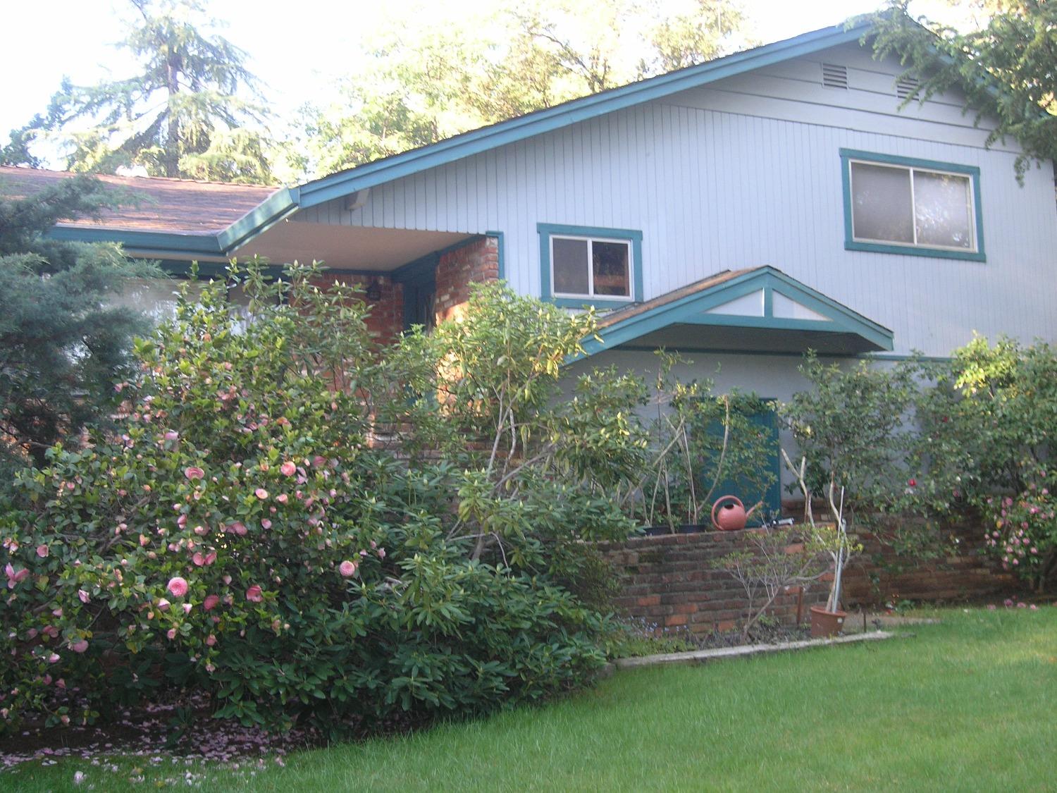 Sylvan Vista Drive, Auburn, California image 5