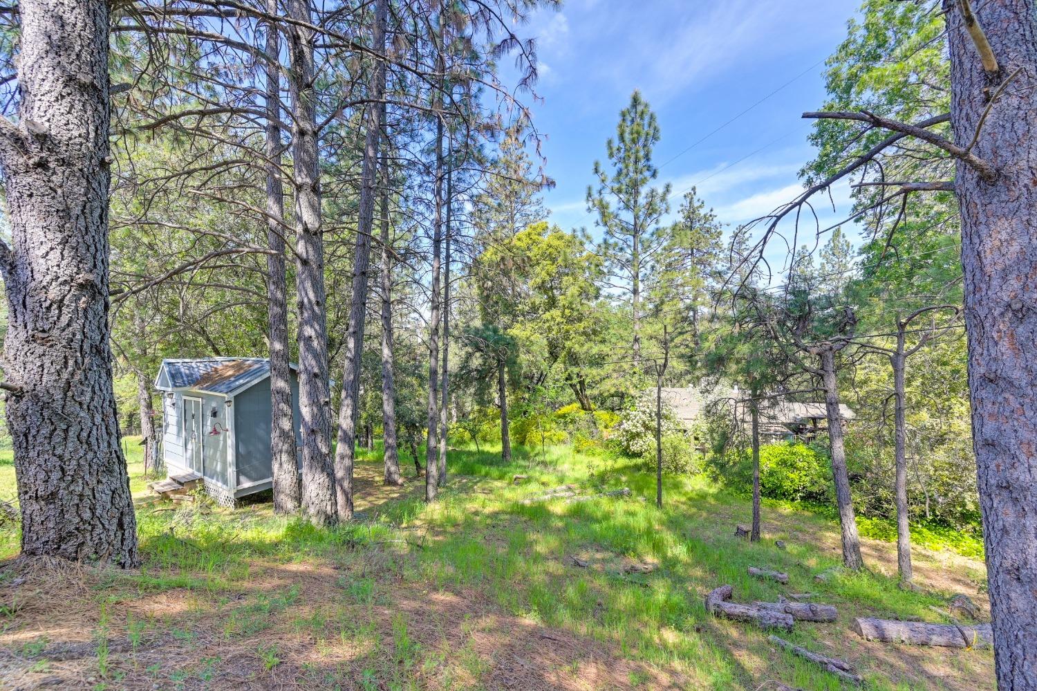 Detail Gallery Image 55 of 73 For 285 Fairidge Dr, Applegate,  CA 95703 - 4 Beds | 2/1 Baths