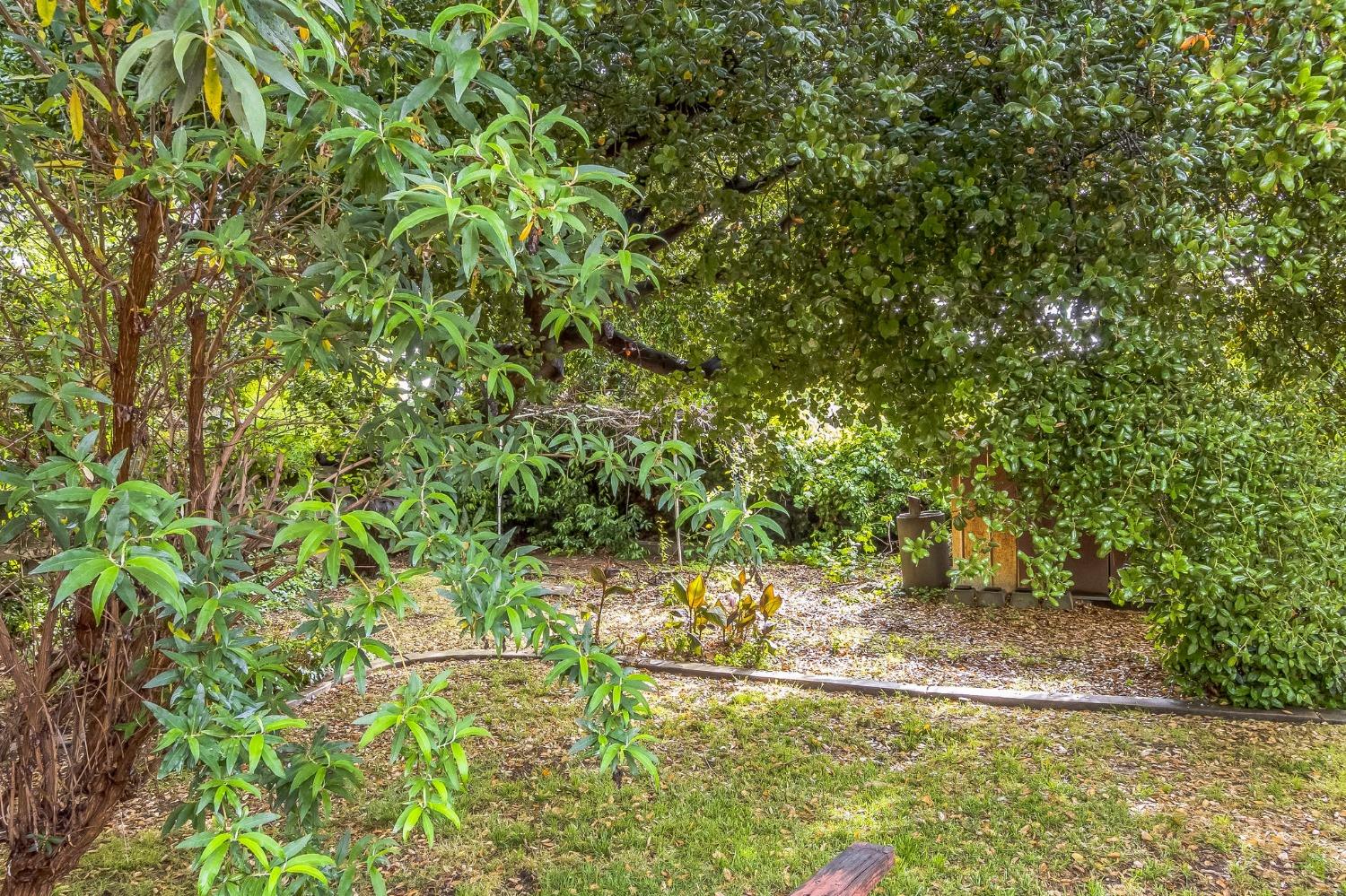 Detail Gallery Image 26 of 30 For 1232 Wellesley Ave, Modesto,  CA 95350 - 3 Beds | 2/1 Baths