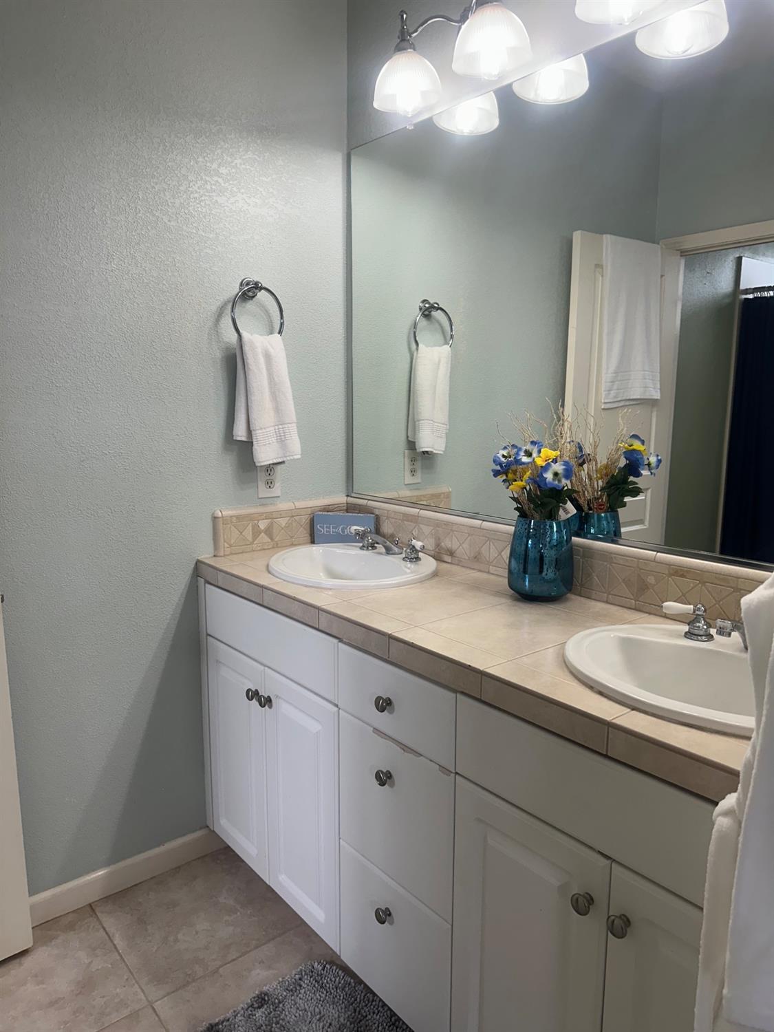 Detail Gallery Image 21 of 36 For 2402 Jessica Cir, Escalon,  CA 95320 - 3 Beds | 2 Baths