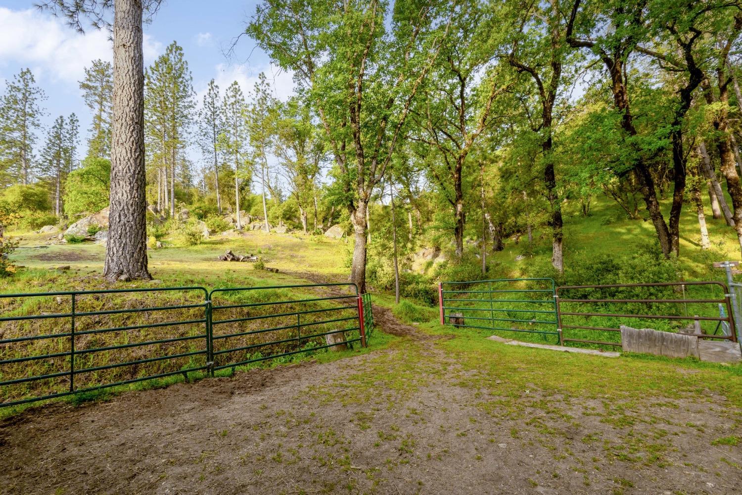 Detail Gallery Image 63 of 79 For 14722 Arrow Rd, Penn Valley,  CA 95946 - 3 Beds | 2 Baths