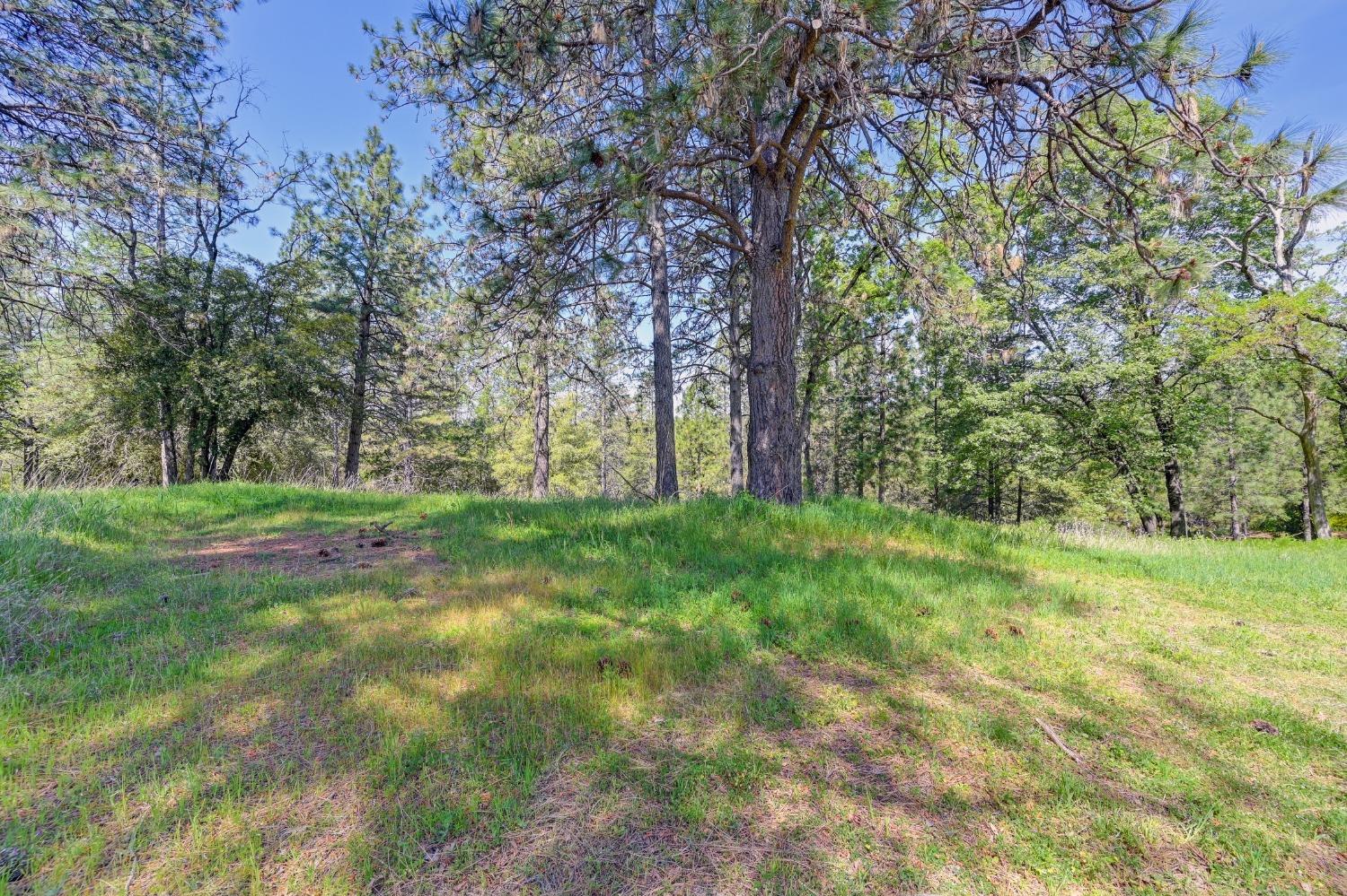 Detail Gallery Image 62 of 73 For 285 Fairidge Dr, Applegate,  CA 95703 - 4 Beds | 2/1 Baths
