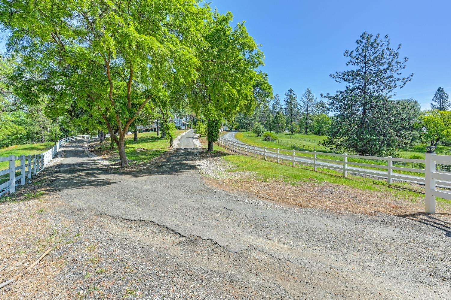 Detail Gallery Image 44 of 73 For 285 Fairidge Dr, Applegate,  CA 95703 - 4 Beds | 2/1 Baths