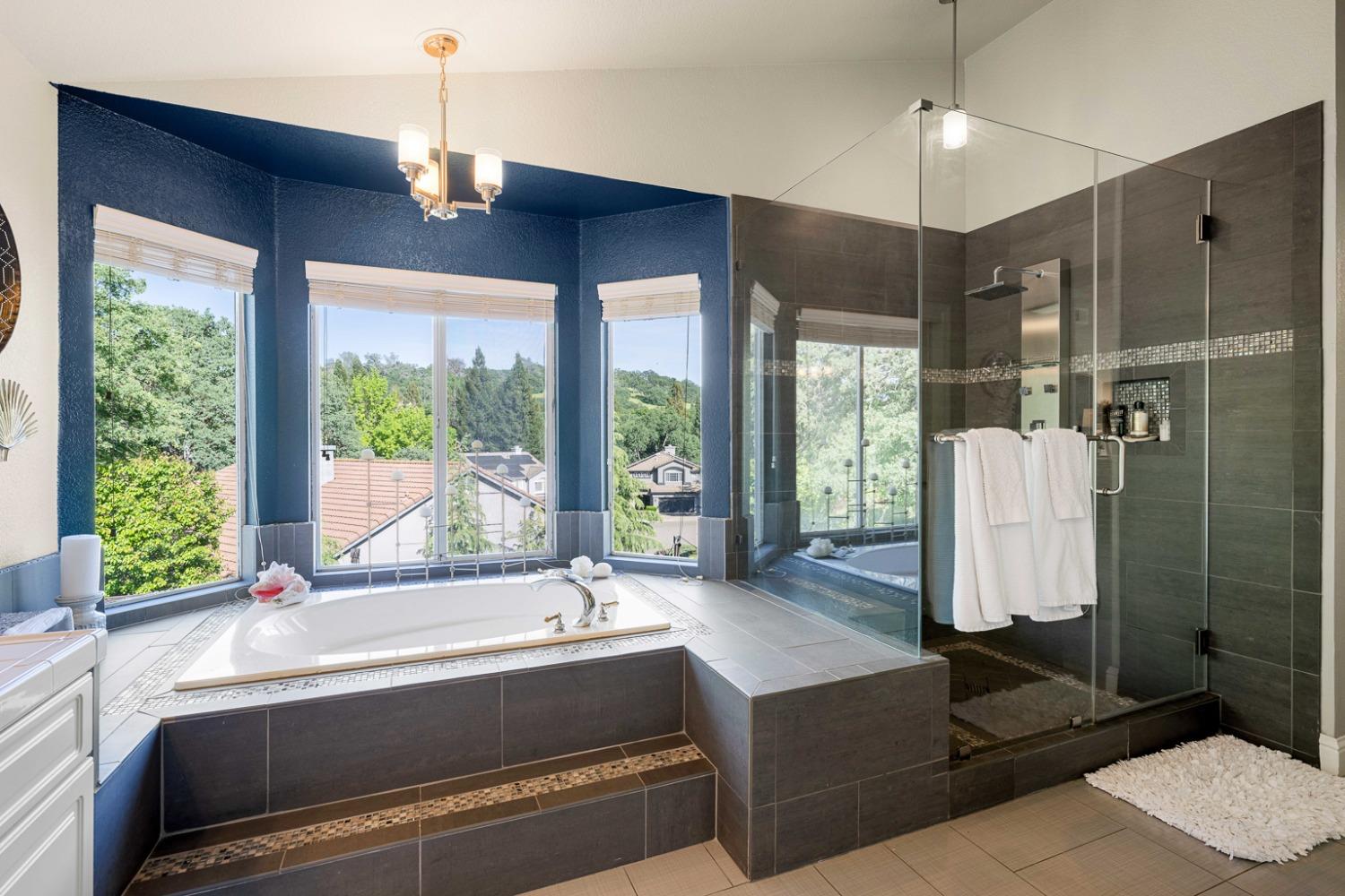 Brackenwood Place, El Dorado Hills, California image 28