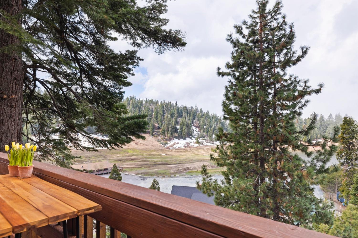Upper Leland Road #A, Pinecrest, California image 31