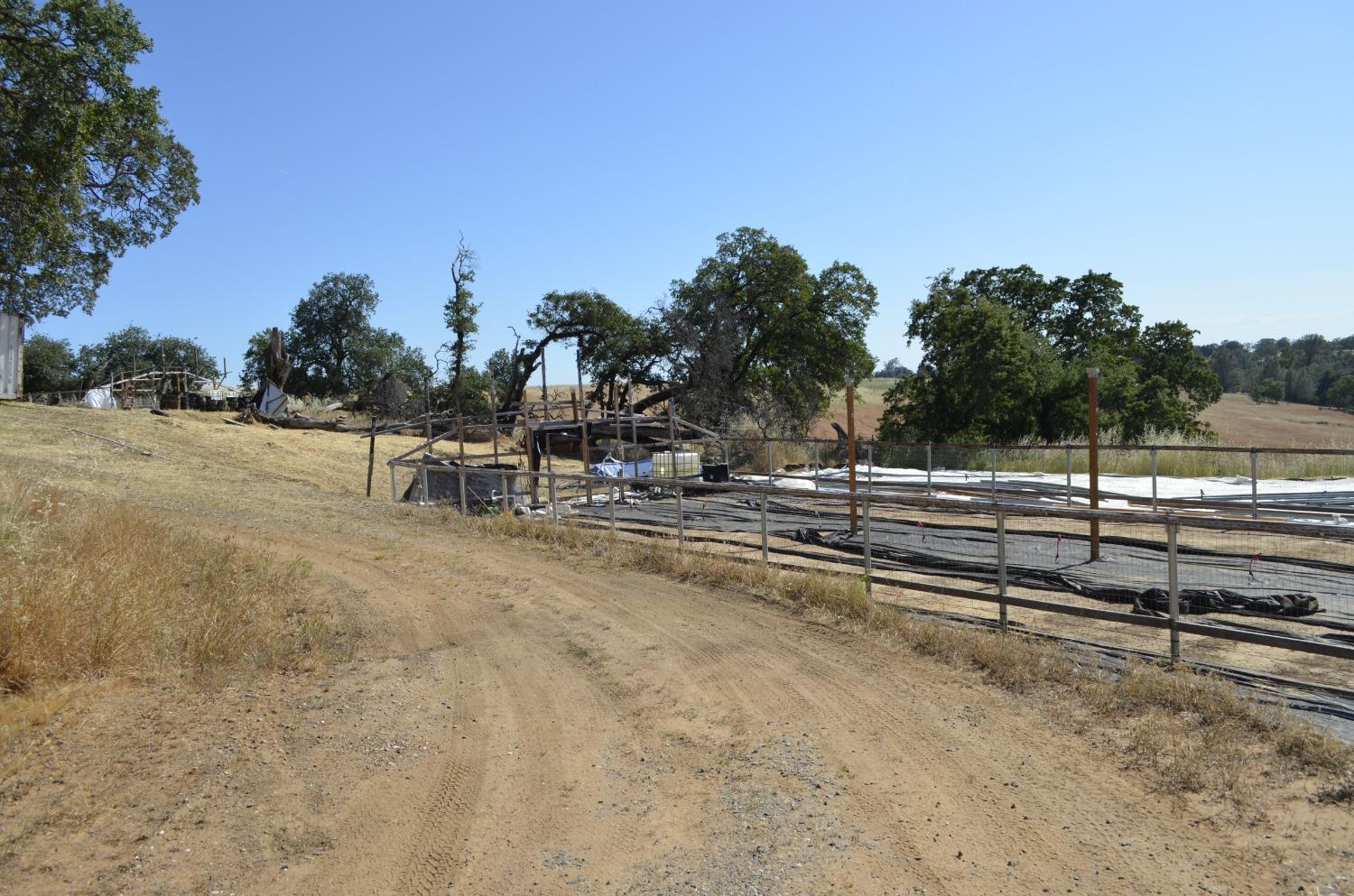 Cricket Lane, Oroville, California image 1