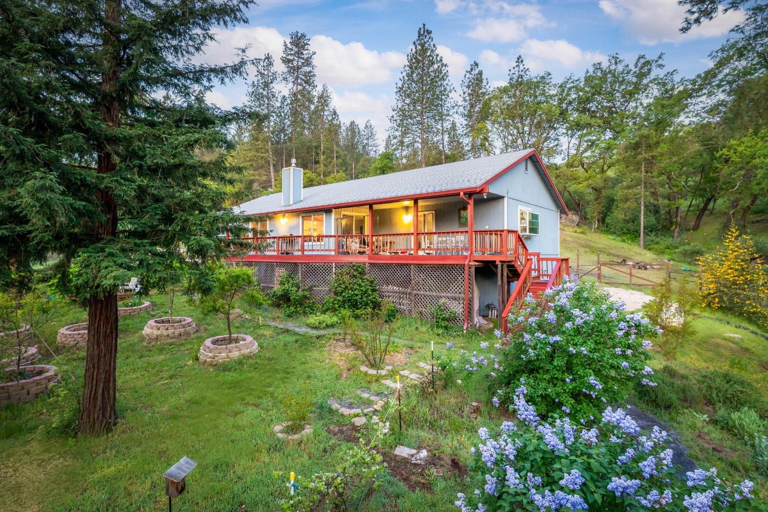 Detail Gallery Image 2 of 79 For 14722 Arrow Rd, Penn Valley,  CA 95946 - 3 Beds | 2 Baths