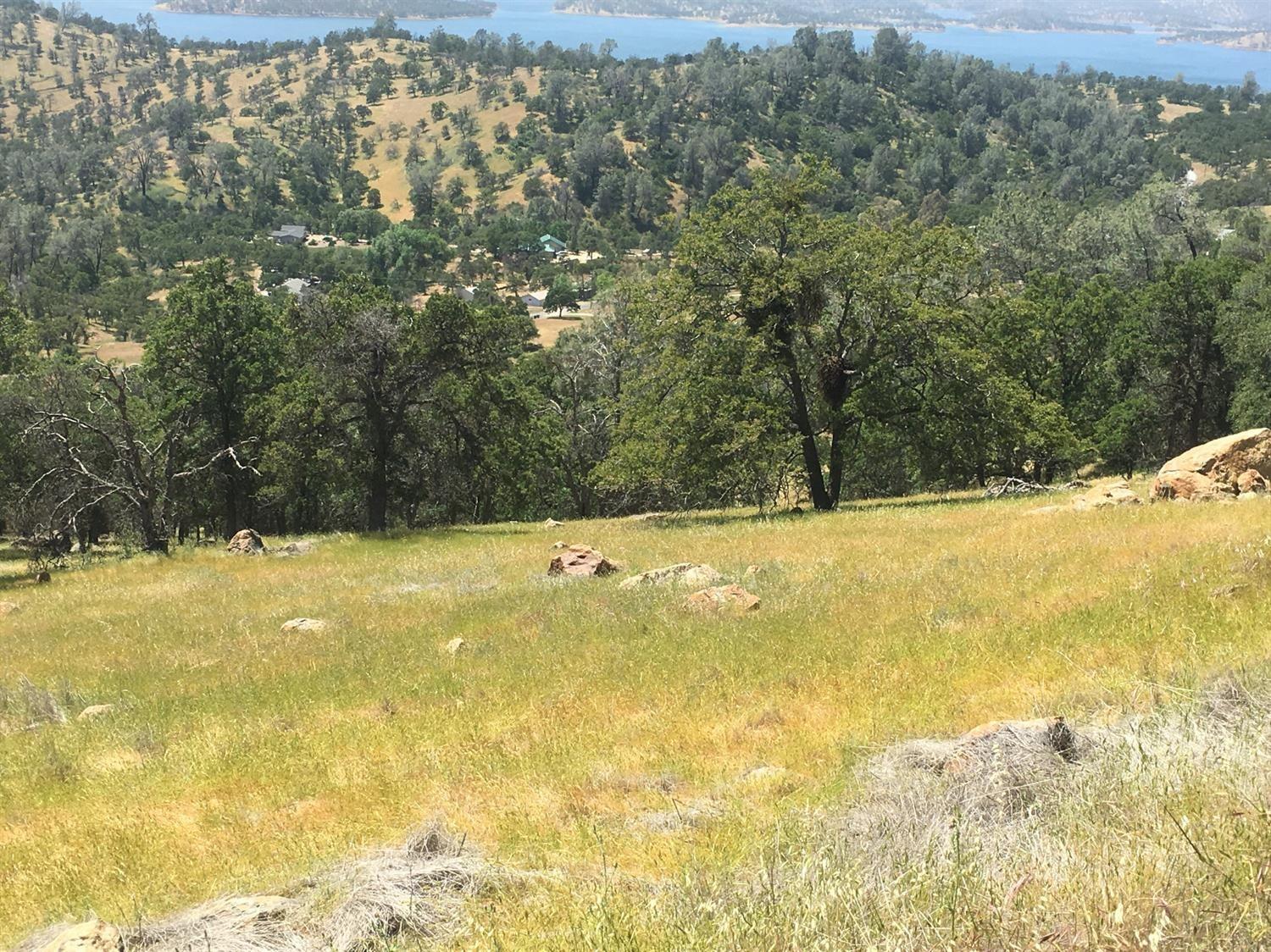 Arbolada, La Grange, California image 8