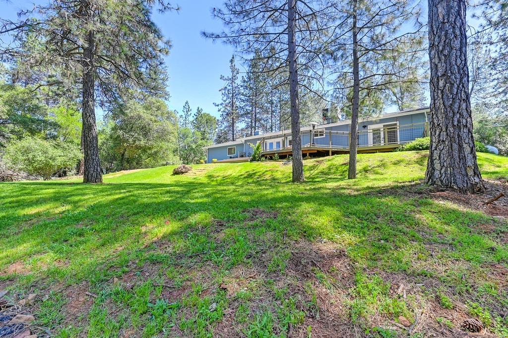 Norlene Way, Grass Valley, California image 43