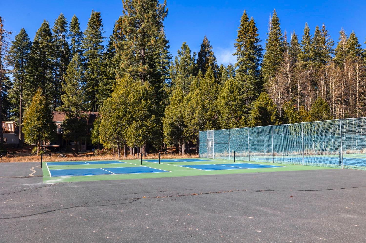 Upper Leland Road #A, Pinecrest, California image 33