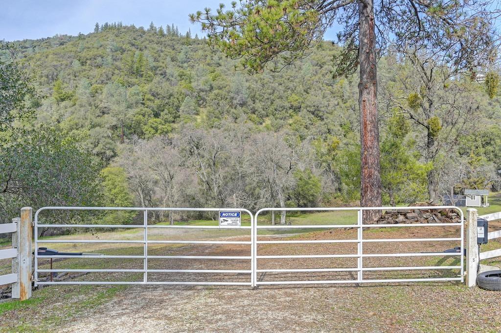 Detail Gallery Image 52 of 54 For 16101 Valley Bottom Rd, Sutter Creek,  CA 95685 - 3 Beds | 3/1 Baths