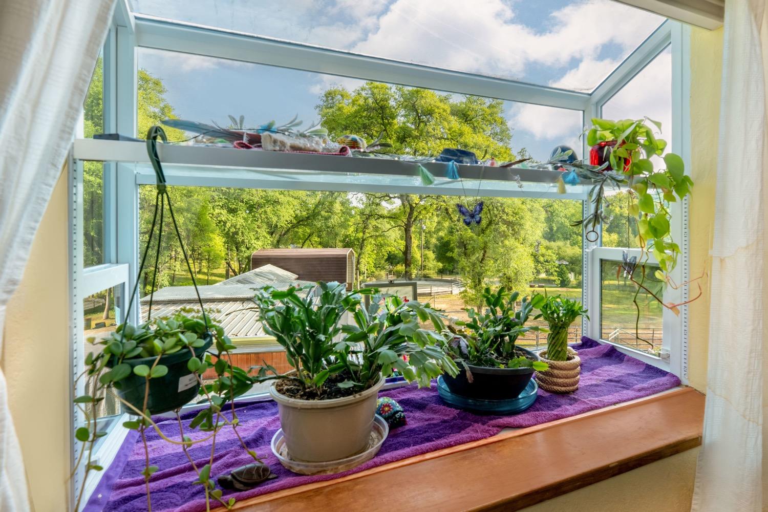 Detail Gallery Image 40 of 79 For 14722 Arrow Rd, Penn Valley,  CA 95946 - 3 Beds | 2 Baths
