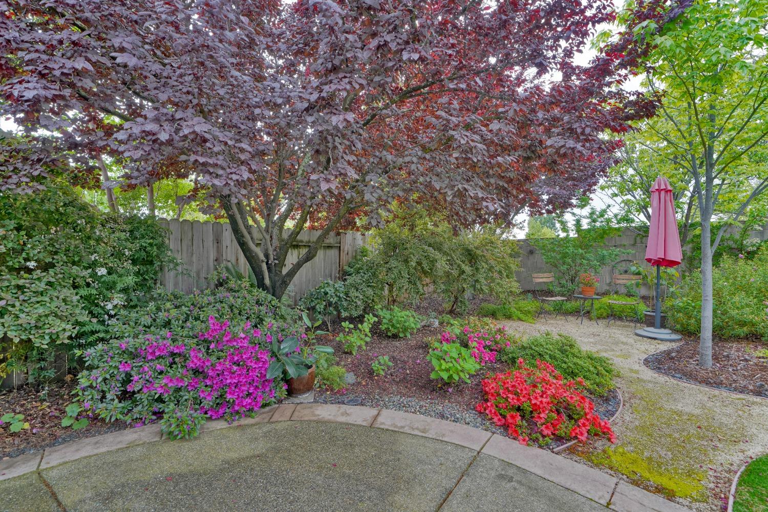 Tahoe Vista Drive, Rocklin, California image 40