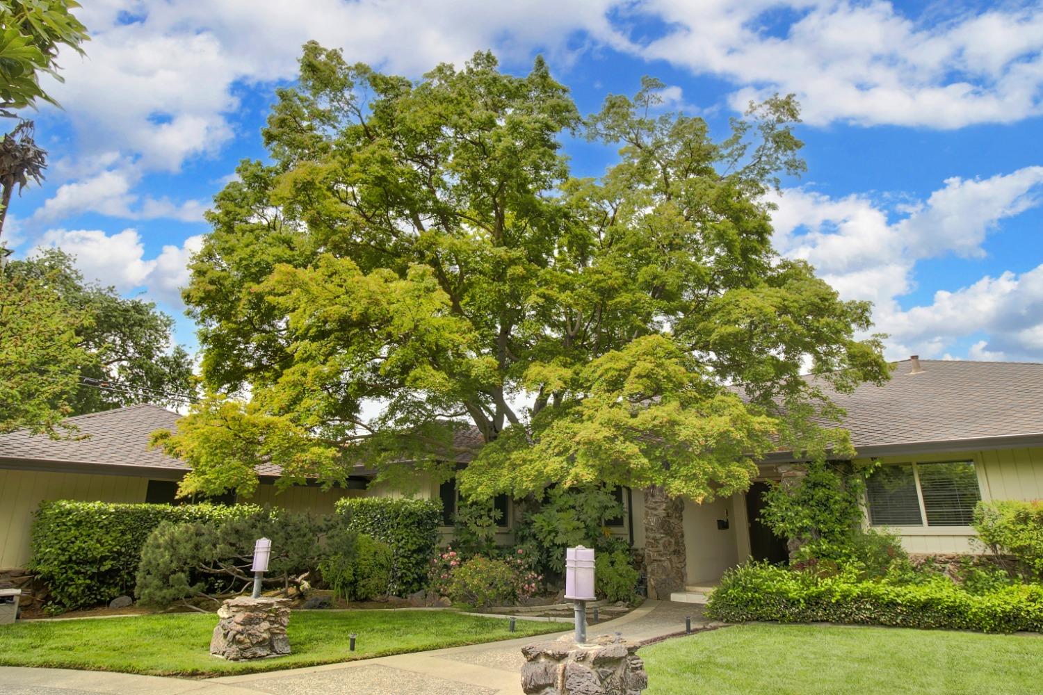 Detail Gallery Image 54 of 56 For 3841 American River Dr, Sacramento,  CA 95864 - 4 Beds | 3 Baths