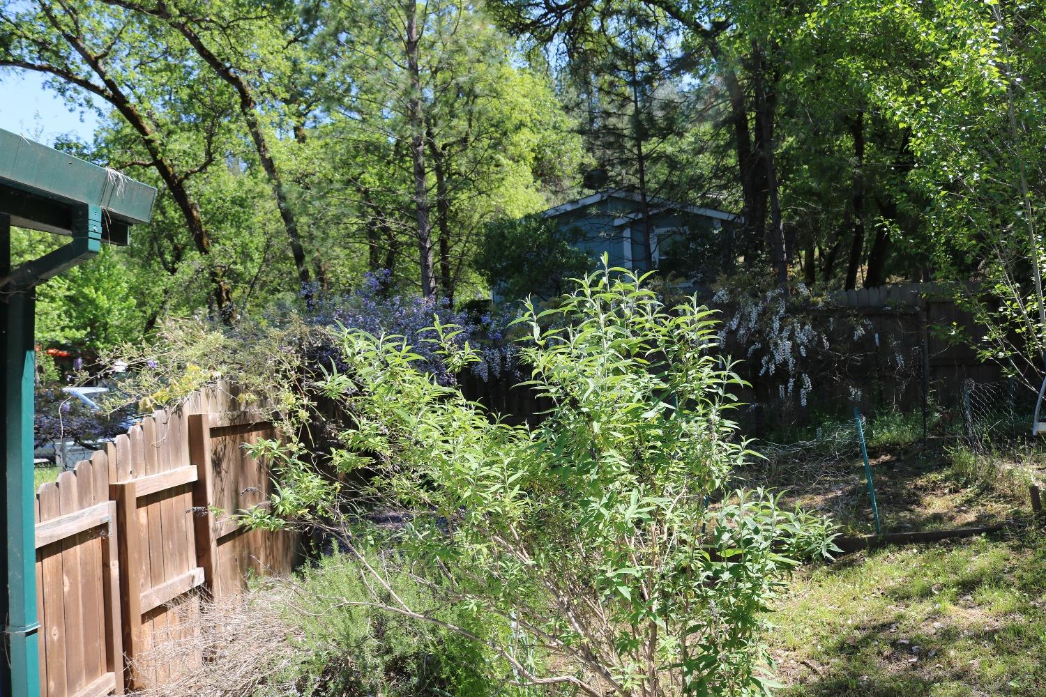 Sierra Circle, Penn Valley, California image 44