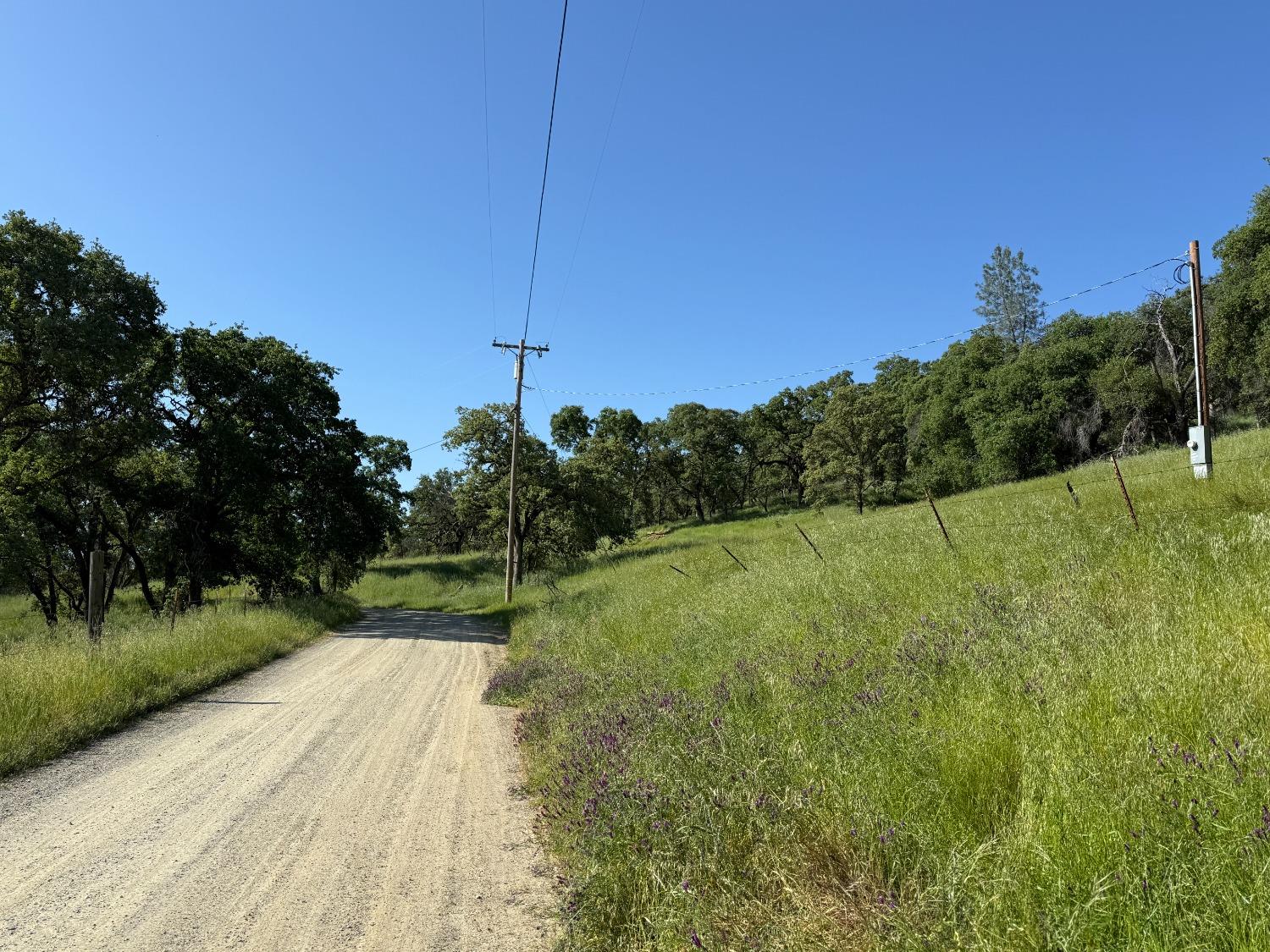 Boulder Way, Smartsville, California image 9