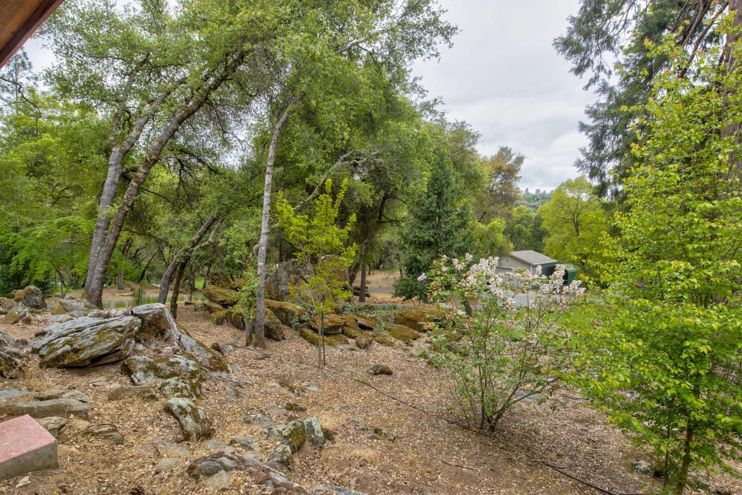 Detail Gallery Image 56 of 97 For 6909 Flat Creek Rd, Somerset,  CA 95684 - 3 Beds | 2/1 Baths