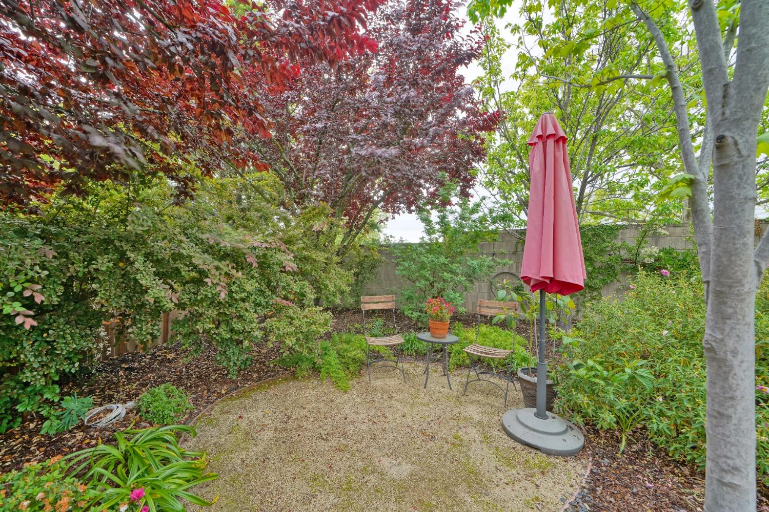 Tahoe Vista Drive, Rocklin, California image 31