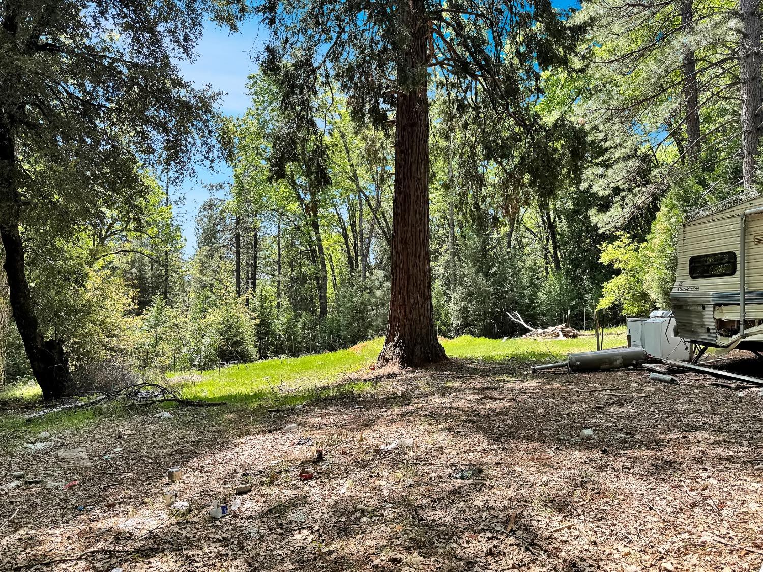 Buckeye Road, Nevada City, California image 14