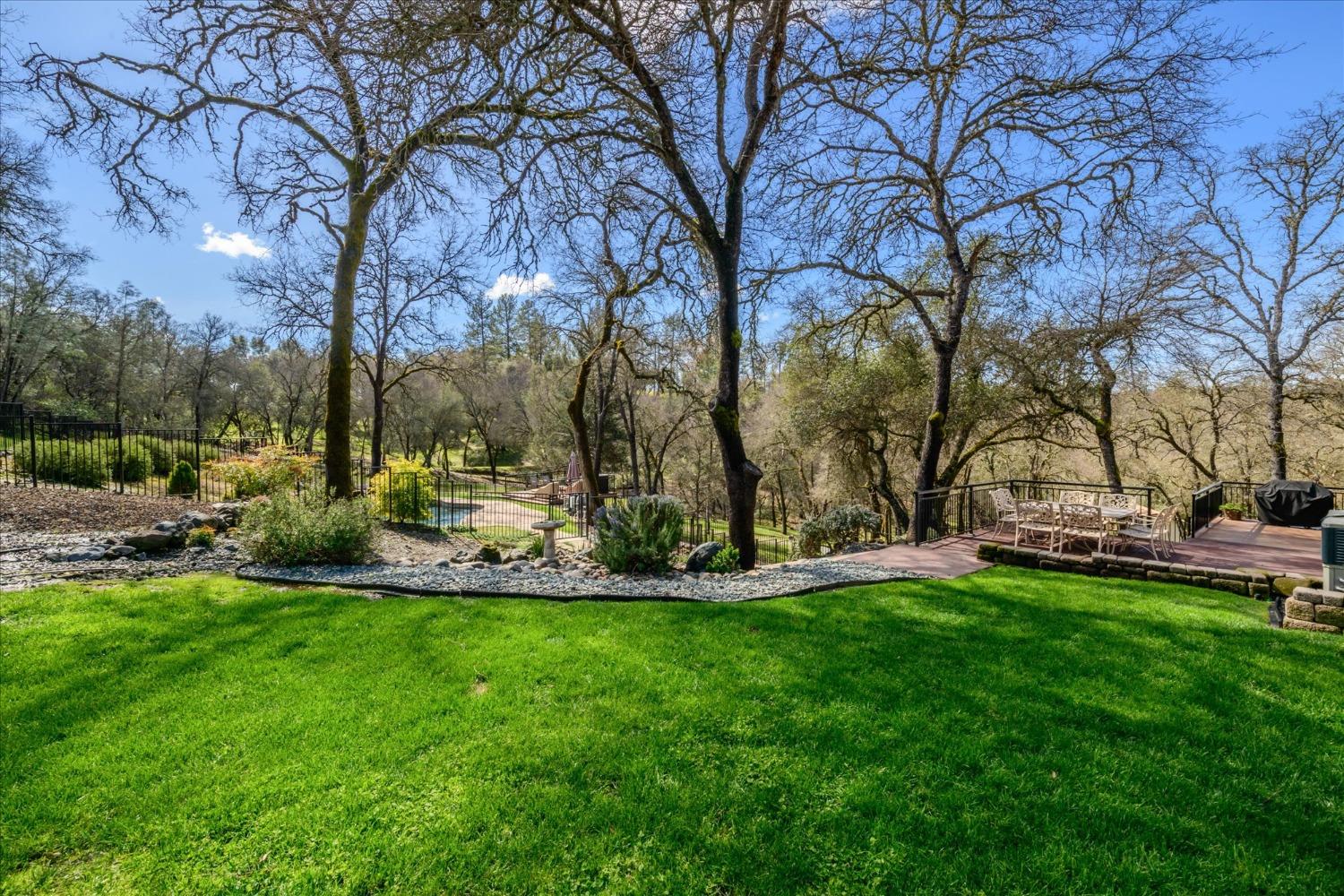 Oakvale Road, Shingle Springs, California image 36