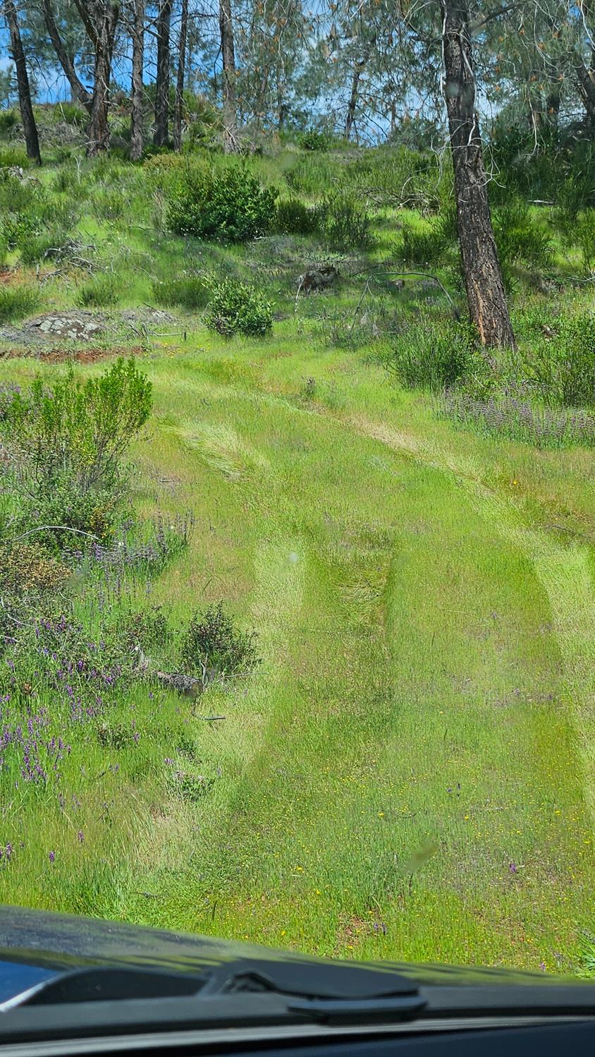 Hidden Bridge Road, El Dorado Hills, California image 15