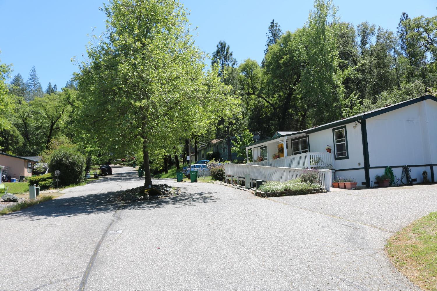 Sierra Circle, Penn Valley, California image 32