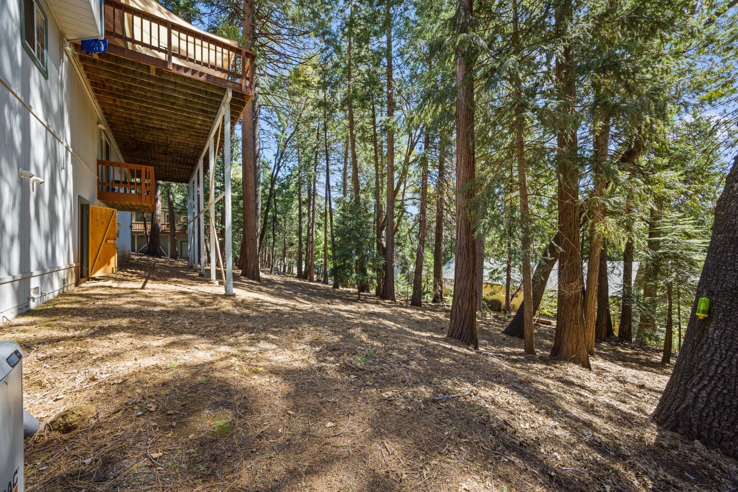 Detail Gallery Image 61 of 73 For 4013 Garnet Rd, Pollock Pines,  CA 95726 - 4 Beds | 3 Baths