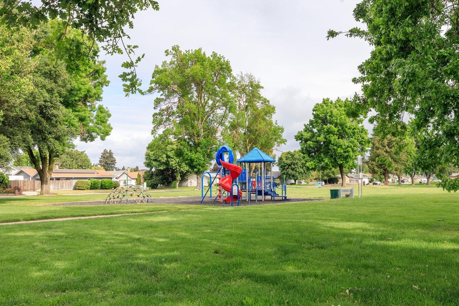 Burgundy Drive, Escalon, California image 47