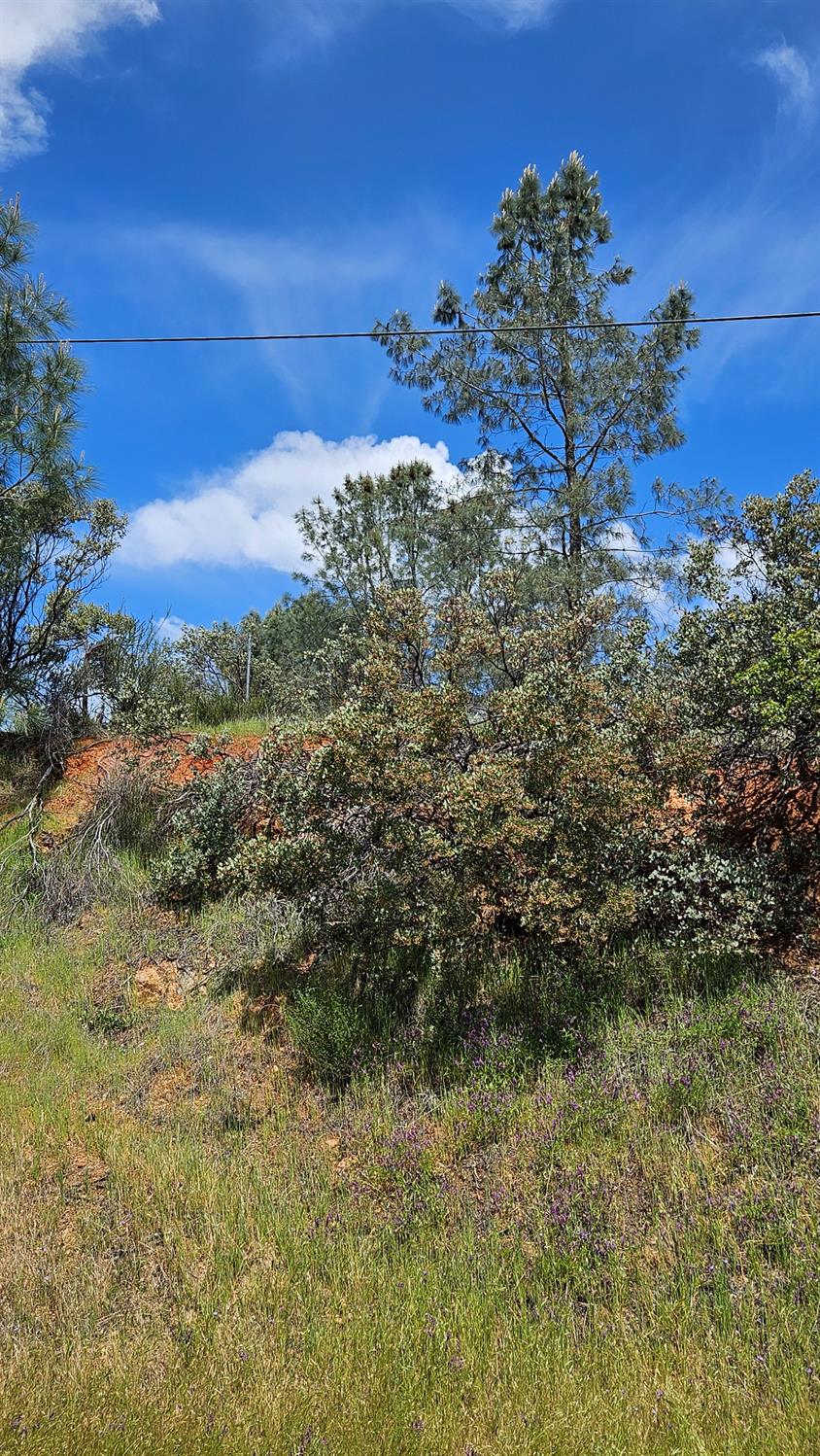 Hidden Bridge Road, El Dorado Hills, California image 14