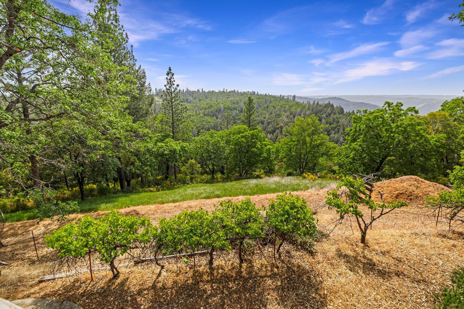 Detail Gallery Image 40 of 71 For 2240 Slate Ct, Greenwood,  CA 95635 - 3 Beds | 2/1 Baths