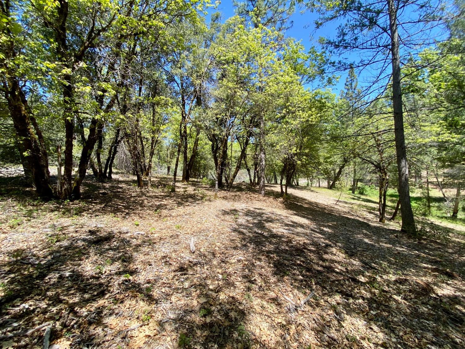 Red Dog Road, Nevada City, California image 31