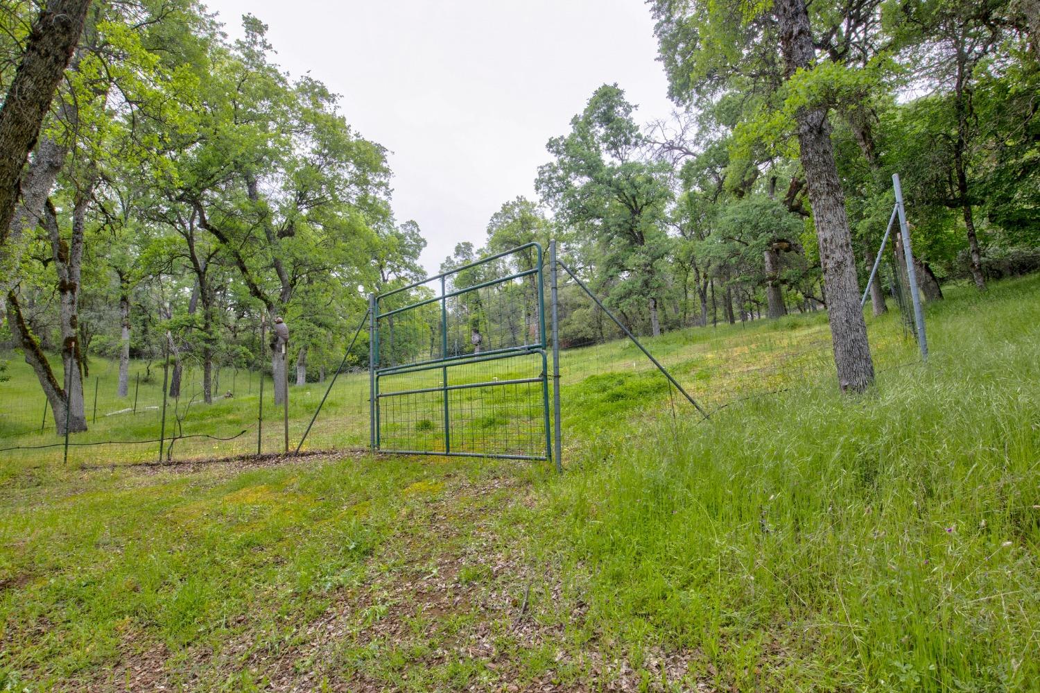 Detail Gallery Image 88 of 97 For 6909 Flat Creek Rd, Somerset,  CA 95684 - 3 Beds | 2/1 Baths